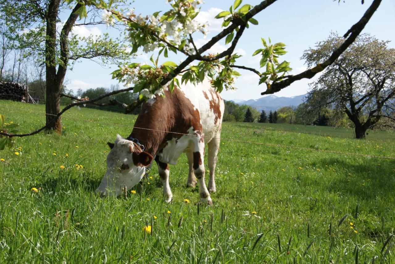 Ferienhof Edtmeier Zell am Moos Exterior foto