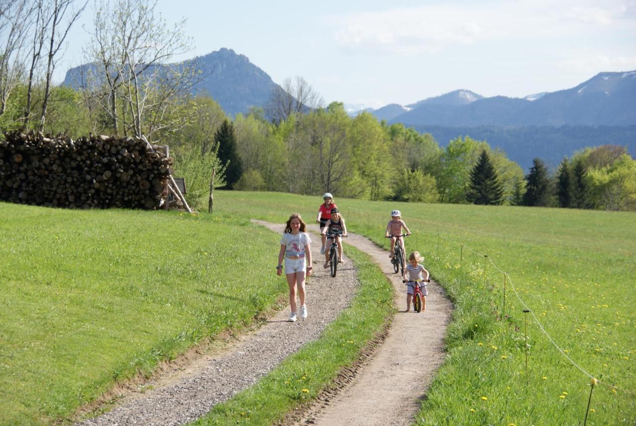 Ferienhof Edtmeier Zell am Moos Exterior foto