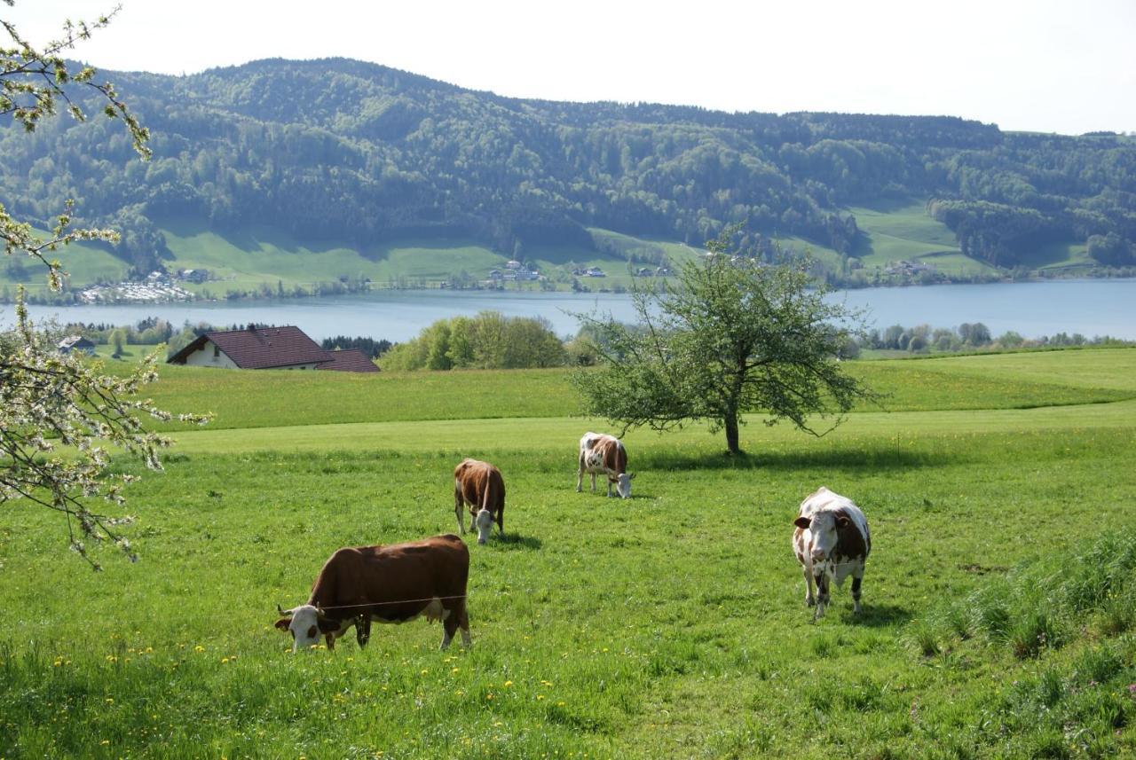 Ferienhof Edtmeier Zell am Moos Exterior foto