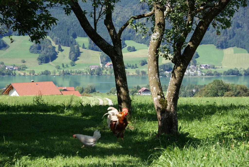 Ferienhof Edtmeier Zell am Moos Exterior foto